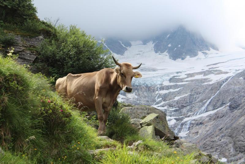Almstueberl - Schiestl'S Ferienhuetten Mayrhofen Zewnętrze zdjęcie